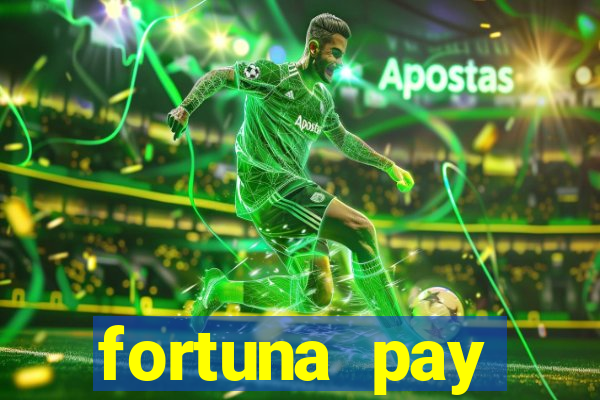 fortuna pay consultoria financeira ltda